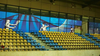 爱游戏中国官方登录入口网站-澳大利亚队未来如何利用青训体系打造新一代乒乓巨星，澳大利亚乒乓球